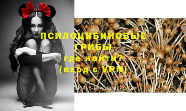 соль курить ск Михайловка