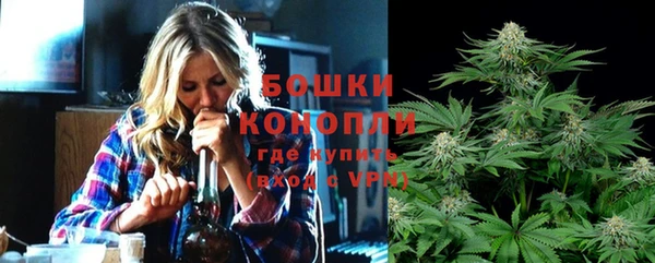 ПСИЛОЦИБИНОВЫЕ ГРИБЫ Михайловск