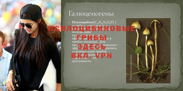 Альфа ПВП Медногорск