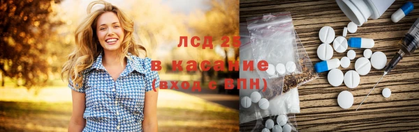 ПСИЛОЦИБИНОВЫЕ ГРИБЫ Михайловск