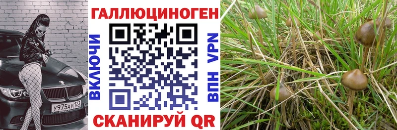 гидра зеркало  Лесозаводск  Псилоцибиновые грибы Magic Shrooms 